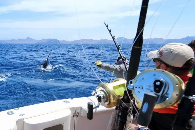 Luxury Fishing Boats And Yachts